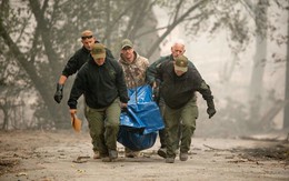 42 người chết vì cháy rừng ở California, Trump ban bố tình trạng thảm họa