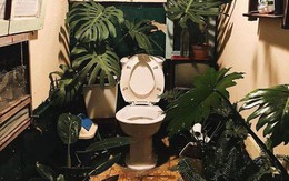 Nhà vệ sinh “cây nhà lá vườn” thơ mộng thách tiền không ai dám... cởi quần vì lý do này!