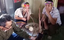 Hai thầy cô nên duyên nhờ cắm bản