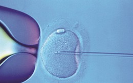 Những hệ lụy nguy hại từ mặt trái của công nghệ siêu âm thai nhi