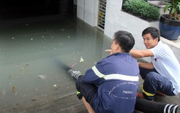 Hàng loạt hầm tòa nhà, chung cư ở Sài Gòn ngập nước