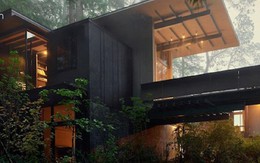 Nhờ thiết kế đặc biệt mà biệt thự 60 năm giữa rừng gây "choáng" vì vẫn đẹp và hiện đại