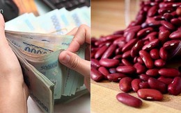 Lẳng lặng đặt thứ này vào ví, cuối năm tiền vào như thác đổ