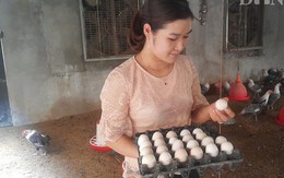 Hot girl báo chí bỏ phố về quê nuôi lợn, thả gà làm giàu