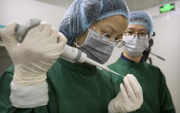 Vụ thí nghiệm tạo em bé biến đổi gen: Tuyên bố tạm dừng và sự phẫn nộ của dư luận