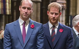 Harry cãi nhau với William vì anh trai 'không nhiệt tình chào đón Meghan'