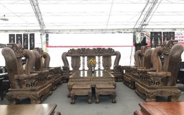 Bộ bàn ghế quốc voi bậc nhất Việt Nam: Làm mất 2 năm, giá 3 tỷ đồng