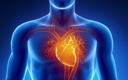 3 thời điểm "vàng" để chăm sóc dạ dày, tim và mạch máu: Nếu muốn khỏe hãy áp dụng ngay!
