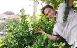 Khu vườn sân thượng tuy nhỏ nhưng bạt ngàn rau sạch của người chồng dồn sức chăm bón cho vợ con ở Vũng Tàu