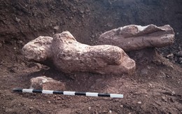 Đào đất trồng trọt, nông dân phát hiện cổ vật quý