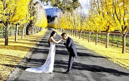 Tuấn Hưng và vợ 'chụp ảnh cưới lần 2' ở Mỹ