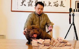 Đại gia chi 2,6 tỷ đồng rước chó “cơ bắp” siêu "khủng" về Việt Nam