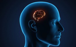Bệnh teo não ở người già có thể chủ động phòng tránh nếu chăm sóc đúng cách