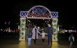 Háo hức đón chờ ngày khai mạc xứ sở ánh sáng Holiday Lights vào cửa miễn phí
