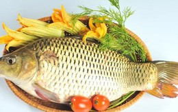 Chuyên gia cảnh báo: Sai lầm khi ăn cá chép có thể gây ngộ độc, hại gan