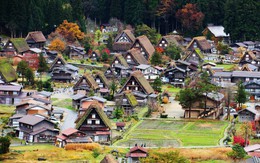Cuộc sống yên bình của người dân trong 150 ngôi nhà mái dốc thuộc ngôi làng đẹp nhất Nhật Bản
