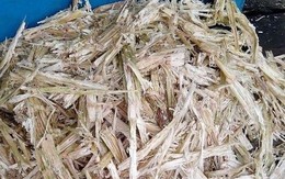 Mẹ trẻ đi cả phố gom vỏ mía, hàng xóm mắng "dở hơi" nhưng sau đó thì nín lặng