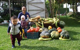Khu vườn 70m2 trồng đủ loại rau Việt, mùa nào cũng có bầu, bí trĩu trịt của ông bố Việt ở  Czech