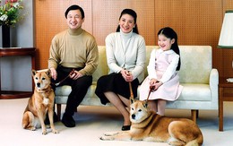 Masako - Công nương xinh đẹp của Hoàng gia Nhật Bản: Nỗi sầu nhung lụa của con chim quý bị nhốt chặt trong lồng son