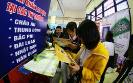Đề xuất cấm lao động Việt Nam sang nước ngoài làm nghề “giải trí”