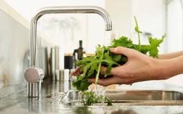 Những vật dụng trong nhà là 'ổ chứa' vi khuẩn gây bệnh mà bạn không ngờ tới