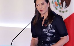 Vợ chồng thống đốc Mexico thiệt mạng trong tai nạn trực thăng đêm Giáng sinh