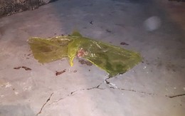 Nghi án bố đâm chết con gái: Hay say xỉn, đánh đập vợ con nhưng 'là người sống thật thà, tình cảm'