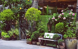 Tất bật nhiều năm tuổi trẻ, người phụ nữ tuổi 40 dành dụm tiền mua căn nhà vườn xinh xắn sống cuộc đời an yên