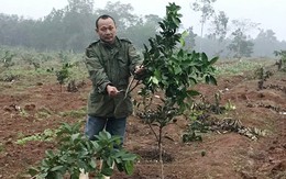 Trang trại cam bị đốt phá lúc đêm tối