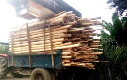 Xe gỗ “chở” cả... cổng làng chạy trên đường