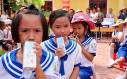 Chương trình sữa học đường chỉ được phép sử dụng sữa tươi
