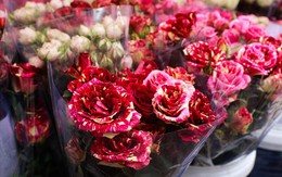 Hoa tươi giá đắt "kỷ lục" vẫn cháy hàng ngày Valentine