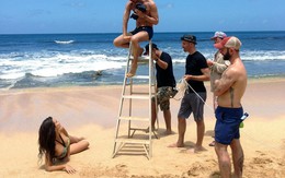 Hơn 50 chân dài tiết lộ mặt tối cay đắng của nghề mẫu