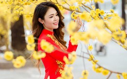 Những lời chúc cực hay và ý nghĩa năm Mậu Tuất