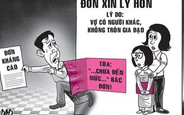 Đòi ly hôn vì vợ không... tròn gia đạo