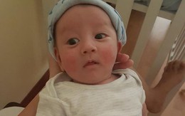 Lần đầu lộ rõ ảnh cận mặt con trai kháu khỉnh của Trang Khiếu