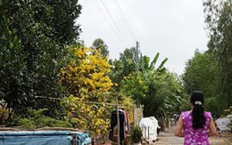 Gia đình của nghi phạm giết 5 người ở Sài Gòn sợ bị trả thù