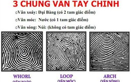 Phát hiện mới: Xem hình dáng vân tay có thể biết bạn có nguy cơ ung thư, tiểu đường