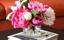 Chán hoa cúc, lay ơn hay vạn thọ, hãy trưng 5 loại hoa này vào dịp Tết để mang đến may mắn, tài lộc