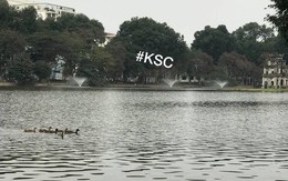 Một bầy vịt vừa tới sống ở Hồ Gươm sau khi đàn thiên nga dọn đi chỗ khác