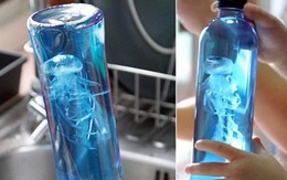 Chẳng cần đi biển mà vẫn được ngắm sứa bơi trong nhà, bí mật nằm ở đây!