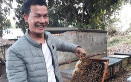 Anh nông dân điển trai xây được nhà lầu tiền tỷ nhờ nuôi ong