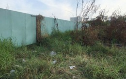 Xác chết khô dưới lớp cỏ ven Sài Gòn nghi là đạo diễn