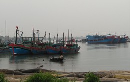 Huyện Tĩnh Gia (Thanh Hóa): Hàng nghìn ngư dân “đánh đu” theo con nước