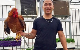 Ông bố xăm trổ ở Hà Nội chi 70 triệu trồng rau, nuôi gà trên sân thượng