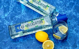 9 lời khuyên hữu ích cho những người muốn mọi ngóc ngách trong ngôi nhà luôn thơm ngát