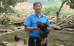 Bỏ việc lương thấp, 9X về nuôi gà Đông Tảo, kiếm hơn 30 triệu/tháng