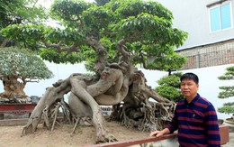 Vườn cảnh triệu đô của đại gia Phú Thọ