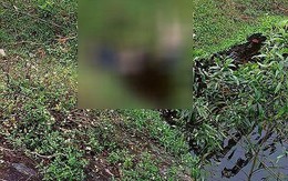 Phát hiện thi thể 2 thanh niên dưới chân cầu