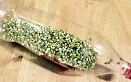 Người mẹ bảo con cho đỗ xanh vào chai nước, 3 ngày sau đứa bé xuýt xoa với thành phẩm